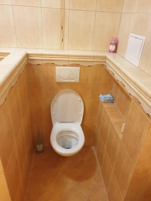 Mezonetovy Apartman V Centre Novej Dubnice Ilava Exterior foto